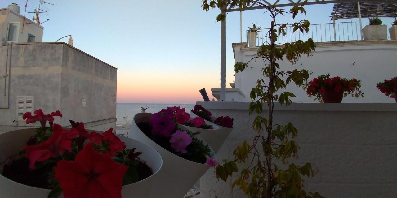 Hotel My Monopoli- Casa Dei Fiori "Orchidea" Centro Storico Extérieur photo