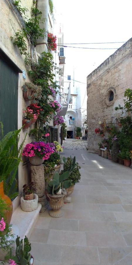Hotel My Monopoli- Casa Dei Fiori "Orchidea" Centro Storico Extérieur photo