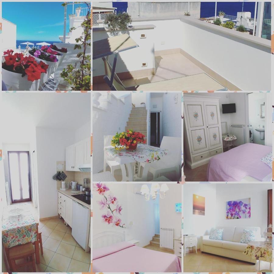 Hotel My Monopoli- Casa Dei Fiori "Orchidea" Centro Storico Extérieur photo